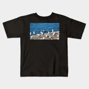 A Flock Of Gulls Standing On A Dock Kids T-Shirt